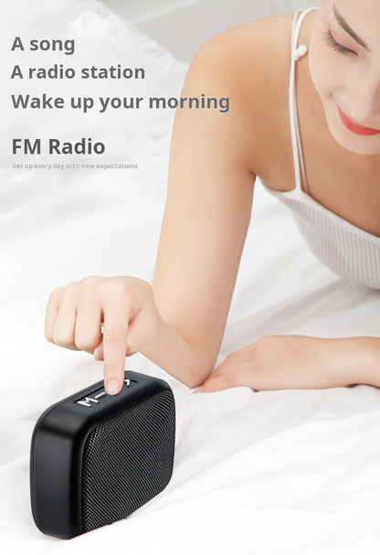 Bluetooth Portable Subwoofer