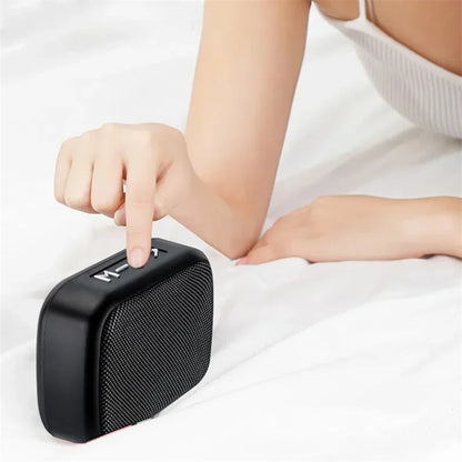 Bluetooth Portable Subwoofer