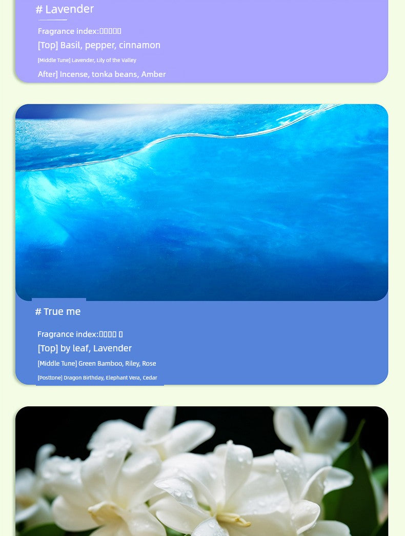 Type-c Charging Wireless Automatic Aerosol Dispenser Charging Long-Lasting Aromatherapy Atomization Toilet Bedroom Living Room Deodorant Fragrance